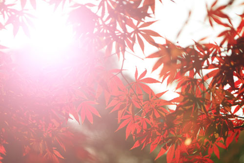 &#24517;&#36194;&#22312;&#32447;&#23458;&#26381;&#45;&#24517;&#36194;&#40;&#20013;&#22269;&#41;